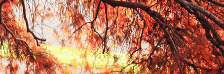 ddos压力测试网页端