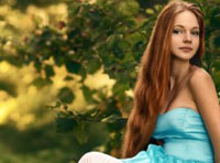 网站攻击软件工具